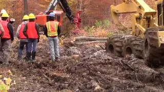 2014 Timberpro TL745B Feller Buncher w/Quadco 22B-360 degree rotate hot saw