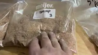 Revolutionizing Shrimp Waste: ADAR Technologies' Sustainable Solution