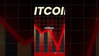 $100M Lost! Bitcoin Panic Selling Triggers Massive Losses for New Traders!