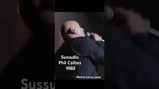 Sussudio Phil Collins Cover Martin Levac