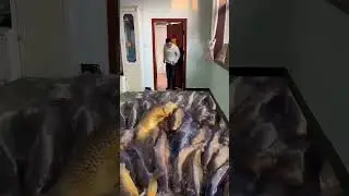 3D animation🤯||special effects||special VFX HD||Big fish
