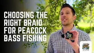 Choosing the Right Braided Line for Peacock Bass &ndash; Complete Guide!