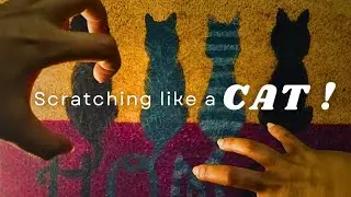 ASMR | Satisfying Aggressive Rug Scratching & Brushing|Tapping|Scratchy Tapping sounds 😻(No Talking)