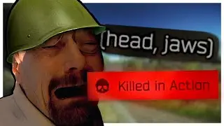 When is wipe - Escape from Tarkov