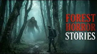 2 TRUE Forest Horror Stories You Must Hear Now