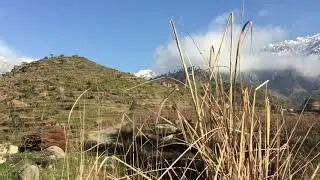 Short video on the way to amlokdara stupa!