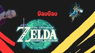 Zelda Tears of the Kingdom #3 !