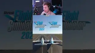 Flying in BOTH Sims at the SAME Time