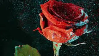 Martin Garrix & David Guetta - So Far Away (feat. Jamie Scott & Romy Dya) (BLR Remix)