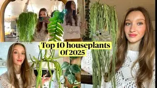 Top 10 Houseplants of 2025🪴