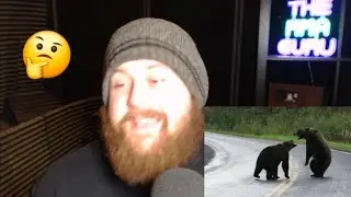 The MMA GURU bear theory