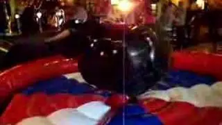 Rodeo Bull Hire