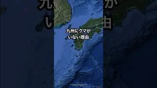 なぜ九州の野生のクマは絶滅したのか&hellip;⁇