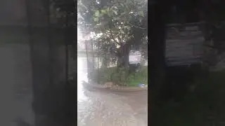Bagmati Flood