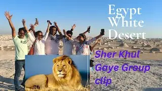 Sher Khul Gaye | Group Dance on Egypt&rsquo;s Stunning White Desert