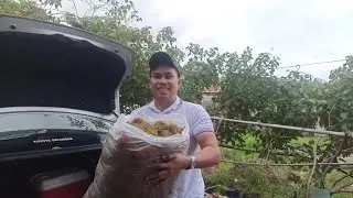 Rambutan ang pasalubong ni Kabrader Ed