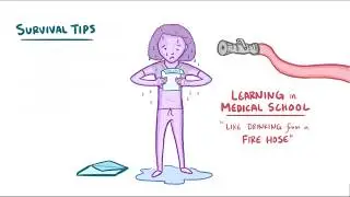 Surviving Your First Year of Medical School: A Student Doctor Network & Osmosis Quick Video