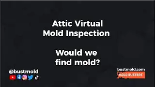 Attic Virtual Mold Inspection, Was Mold Present? #shorts