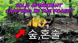 Solo camping in the forest/sound of nature/chill camping/light rain in the morning/AMSR