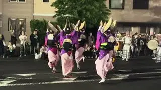 開成阿波踊り2025☆円中連☆かいせい演舞場☆2025.09.13☆#開成阿波踊り#阿波踊り#開成町 