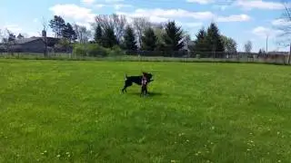 Amber and Isis 5.6.17 playing at Camp Bandy