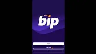 #minter #BIP Wallet v2 0  Инструкция по применению