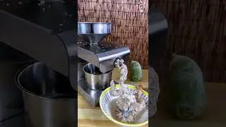 Food Machines Simplifying Culinary Creations 🍴🤖 | Kitchen Tech at Its Best!
