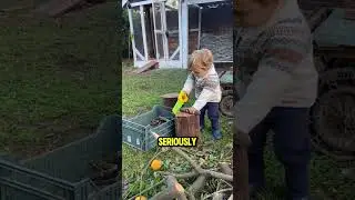 This boy learned how to cut wood like his dad 🥹💝 (🎥 IG: @fazendinha_ao_vivo)