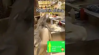 robot usa vs robot china #funnyvideo #robot #memes #socialcreditmeme #shorts #shortvideo #short