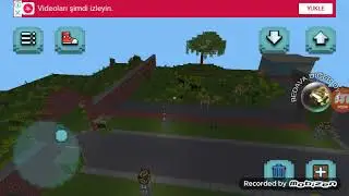 Zoo craft