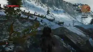 The Witcher 3: Wild Hunt [DLC: Skellige Undvik Armor Set]
