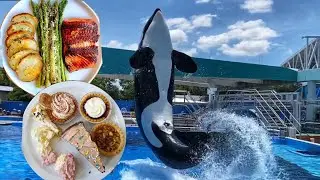 Dine with Orcas at Seaworld Review (2021) -The Full Experience - Exclusive Video, Full Menu & More!