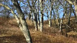 Midwest downhill G Mt