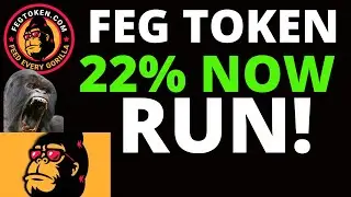 FEG TOKEN MASSIVE DROP | THIS IS NOT GOOD FOR FEG TOKEN