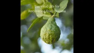 Essential Oils For Recovering From Trauma