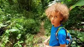 TRINITY FALLS HIKE