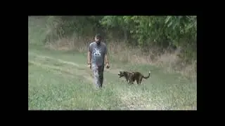 Groundhog Hunting with Cooper