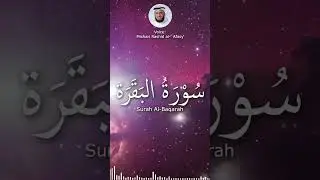 Surah Ale Imran #shorts #recitation #nomusic #allah #muhammad #lofi #pet #cat #surahbaqarah
