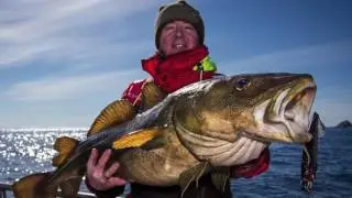 Cordes Travel sponsor Predatortour 2017 | PredatorTour