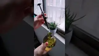 Vaporisateur Parfum Vintage pour Plantes | L'Arroseur arros&eacute;