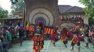 Singa Pongdhut Karya Taruna Bah Rewok Group || Atraksi Reog Ponorogo