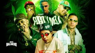 SET FOGO NA VELA - MC IG, MC PAIVA, MC RYAN SP, MC TUTO, CEBEZINHO, KADU, MENO K, LELE JP, GP,PAULIN