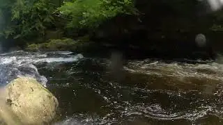 River Braan