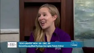 Denver Zoo - Zoo Lights