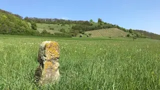 F&uuml;llmenbacher Hofberg - Landschaftspflege durch den Schw&auml;bischen Albverein