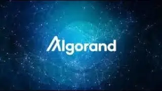 Algorand  $12.00 ALGORAND BULLRUN PRICE !!!