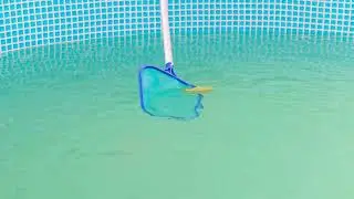 invideo ai 1080 Giant Baby Bat's Epic Pool Rescue! 2025 02 13
