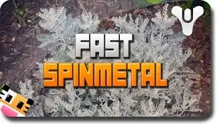 Destiny Fast 