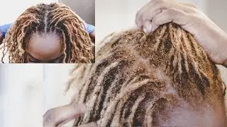 Blonde Locs Root Touch - Up