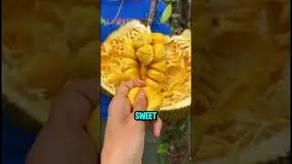 Jack fruit: The Biggest of them all😌 #shorts